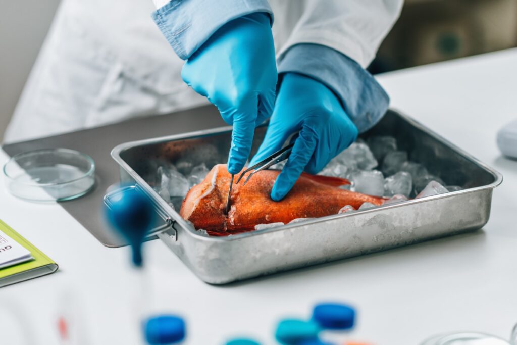 αντιβιοτικά στο κρέας